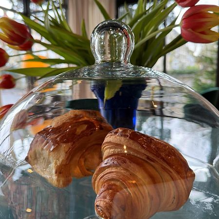 Hotel De Charme Le Chene Vert Brive-la-Gaillarde Ngoại thất bức ảnh