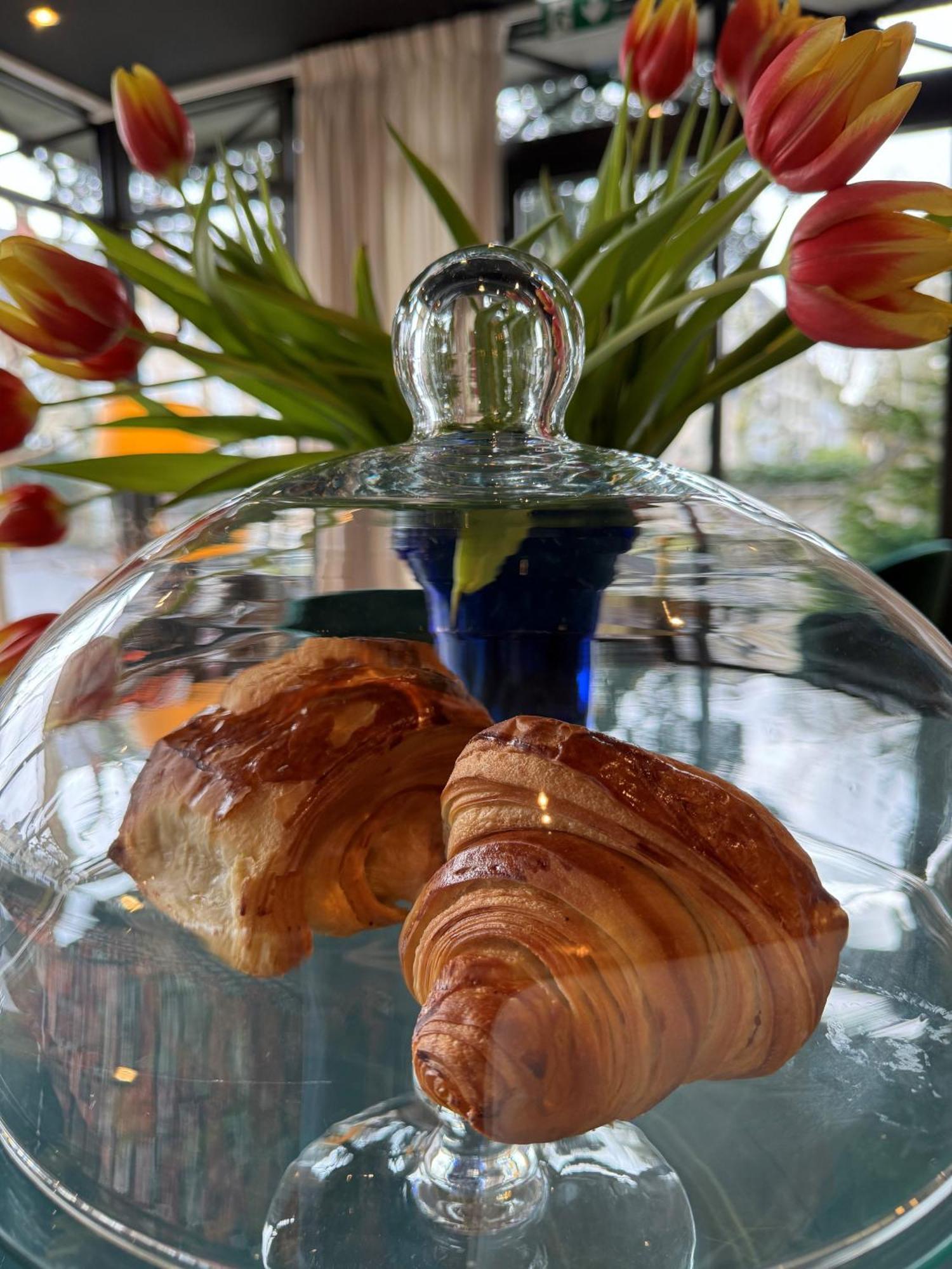Hotel De Charme Le Chene Vert Brive-la-Gaillarde Ngoại thất bức ảnh
